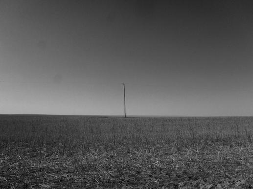 prairie field