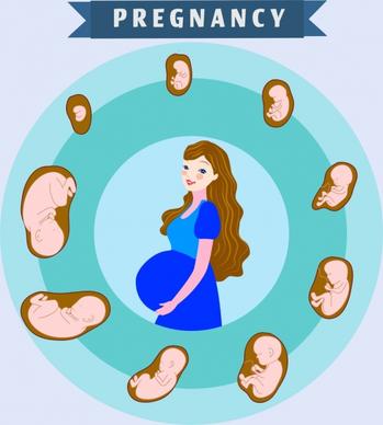 pregnancy background woman kid womb icons circle layout