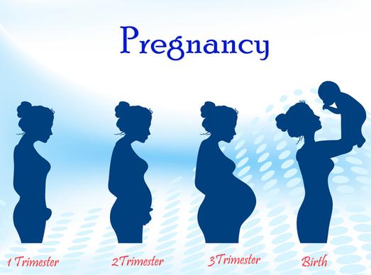 pregnancy silhouette progress circle step