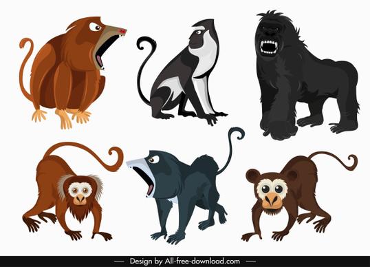 primate species icons colored cartoon sketch