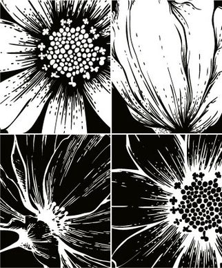 print flowers vector 1
