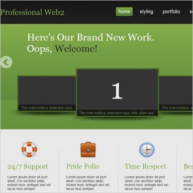 Professional Web2 Template