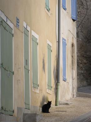 provence village cat