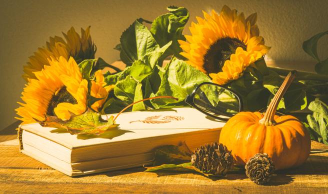 pumpkins sunflowers backdrop elegant serenity 