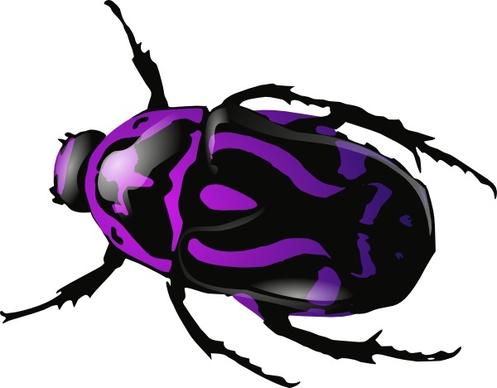Purple Beetle clip art