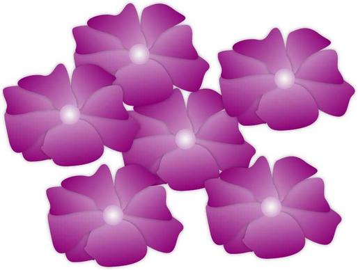 purple flower heads