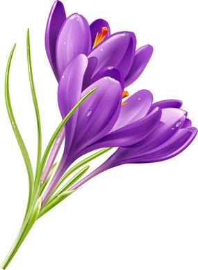 purple flower shiny vector