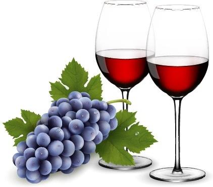 purple grape with wine design vectors