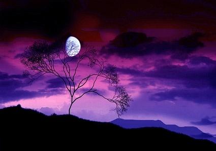 purple sky picture