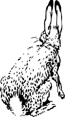 Rabbit From Behind clip art