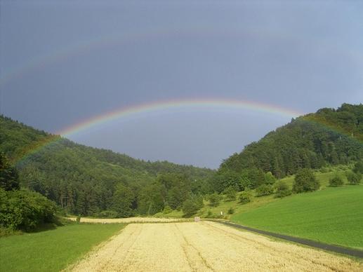 rainbow field forest