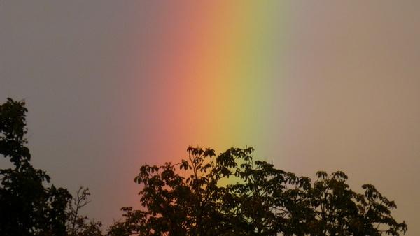 rainbow rain spectrum