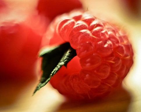 raspberry highdefinition picture