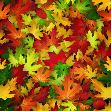 realistic autumn leaves pattern vector graphics