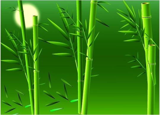 realistic bamboo vector