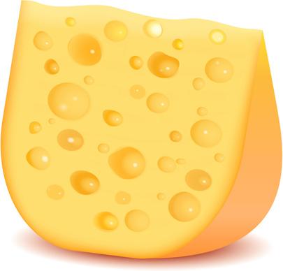 realistic cheese design elements vector set