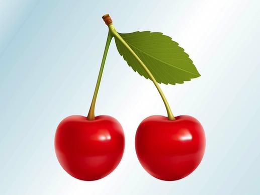 realistic cherries food fruit vector graphics
