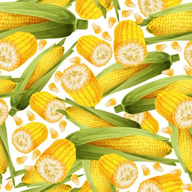 realistic corn seamless pattern vector