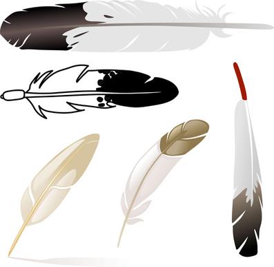 realistic feather illustration design vector