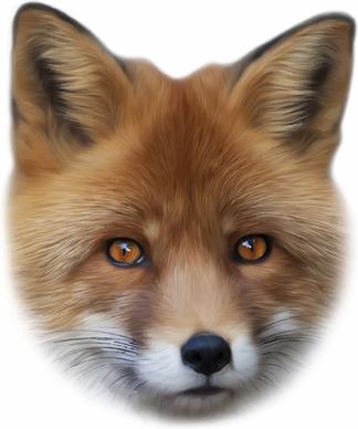 realistic fox face design vector