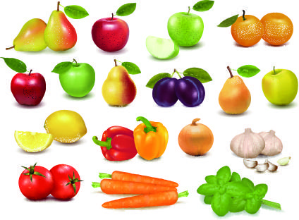 realistic fruit vector illustration set