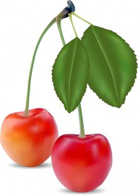 fresh cherry icon modern closeup realistic 3d