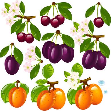 realistic fruits and berry design vector