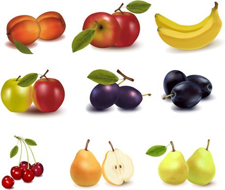 realistic fruits icons vector