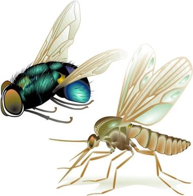 realistic insect 05 vector