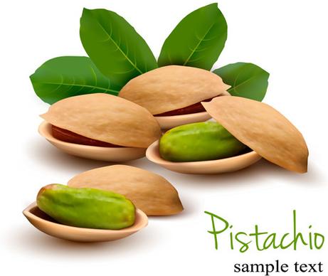 realistic pistachio vector
