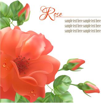 realistic red rose background art