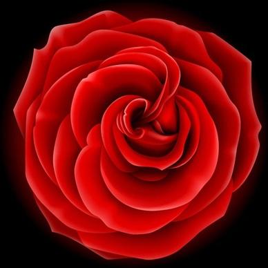 realistic rose vector graphic