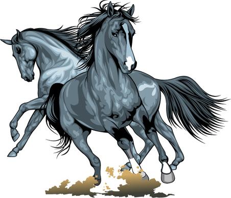 realistic running horses vector graphics