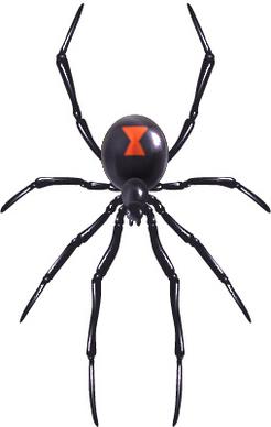 realistic spider vector design