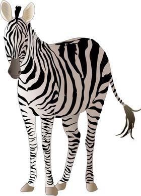 realistic zebra vector free