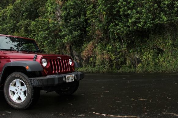 red jeep wrangler on road by thick trees