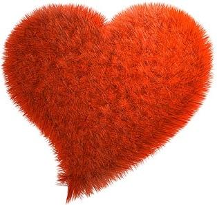 red plush heartshaped picture