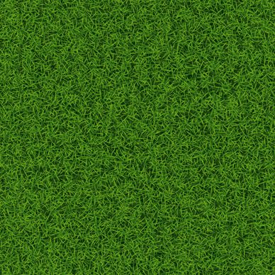 refreshing green grass background vector