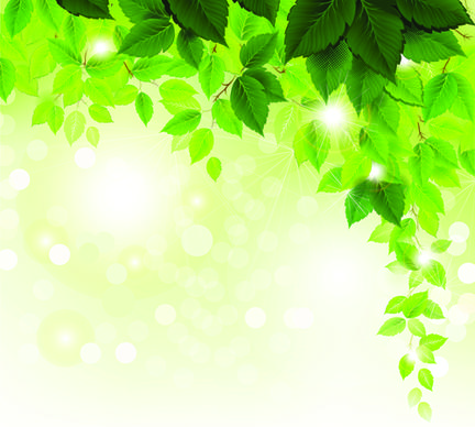 refreshing green leaves background vector