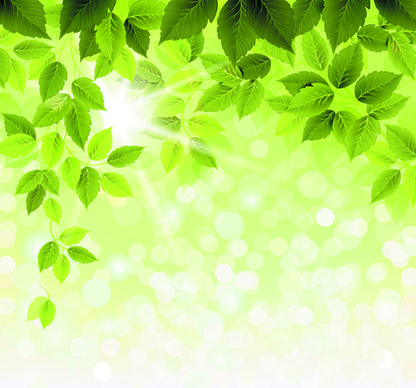 refreshing green leaves background vector