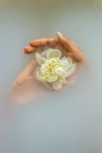 relaxation picture hand holding peony petal water
