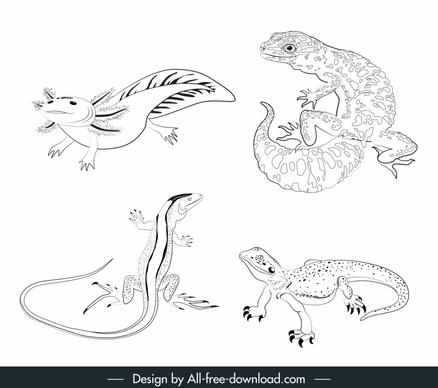 reptile coloring book design elements black white handdrawn sketch