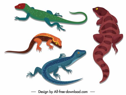reptile icons gecko salamander sketch colored design