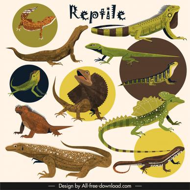 reptile species icons gecko salamander animals sketch