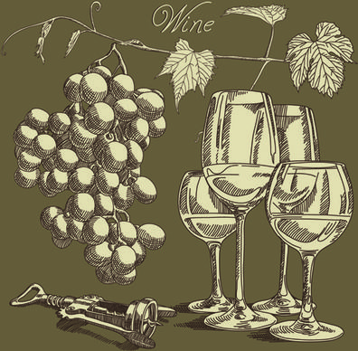 retro hand drawn wine elements vector collection