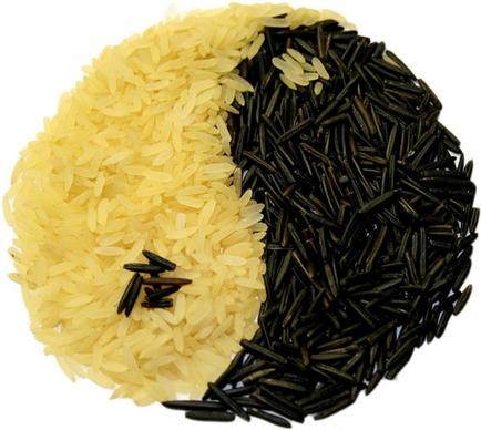 rice yin and yang eat