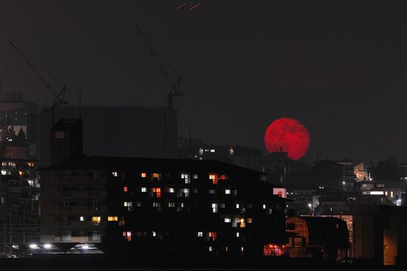 rising red moon