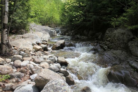 roaring brook in the adirondack mountains new york