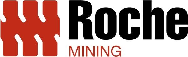roche mining