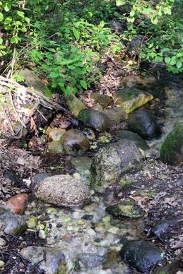 rocks and stream at lapham peak state park wisconsin